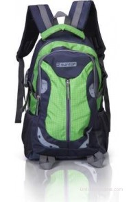 Suntop Neo 9 26 L Medium Backpack(Grey and Green Checks, Size - 460)